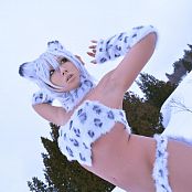 Nonsummerjack ชุดรูปภาพเสือดาวหิมะ